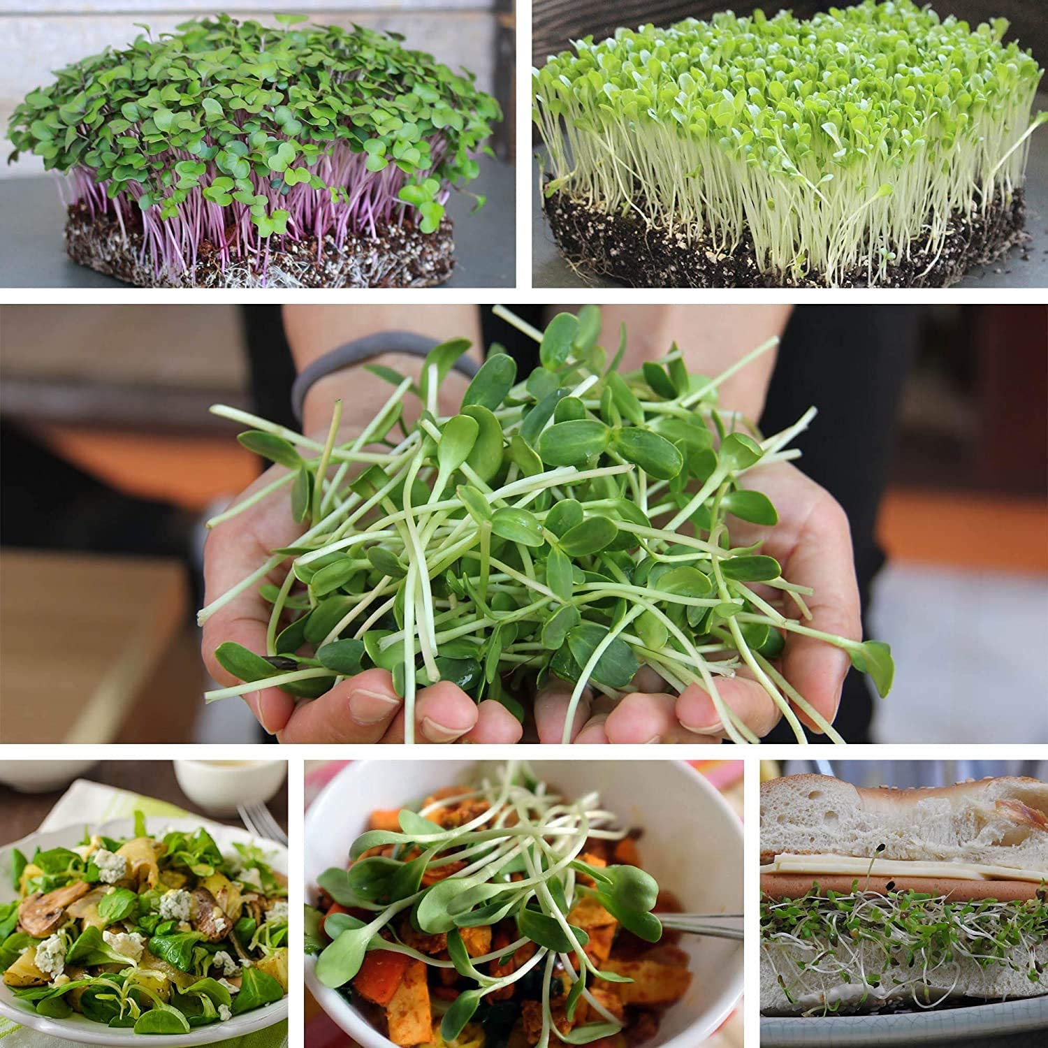 种植垫网图 (7).jpg